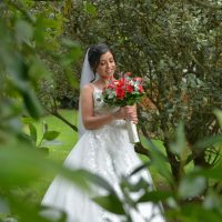 Boda-Novia